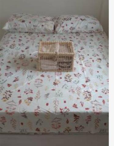 Apartamento Vila Aconchego Salmao Σαλβαντόρ Εξωτερικό φωτογραφία