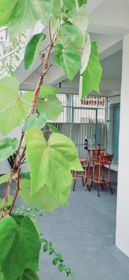 Apartamento Vila Aconchego Salmao Σαλβαντόρ Εξωτερικό φωτογραφία